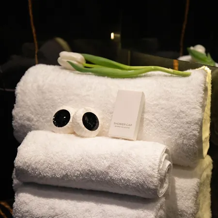Arka Art Hotell 5*